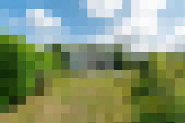 Belkmerweg 68 h27 Sint Maartensvlotbrug thumbnail 32