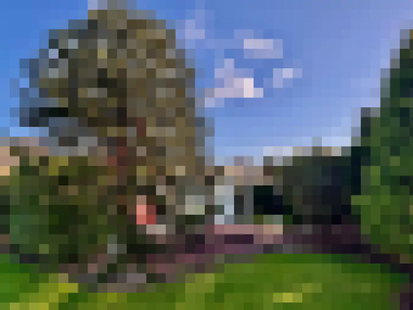 Belkmerweg 68 h32 Sint Maartensvlotbrug thumbnail 15