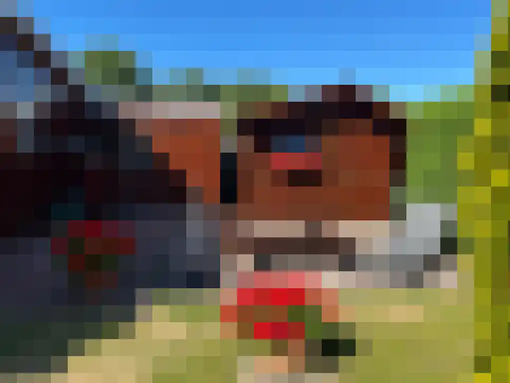 Belkmerweg 68 h32 Sint Maartensvlotbrug thumbnail 23