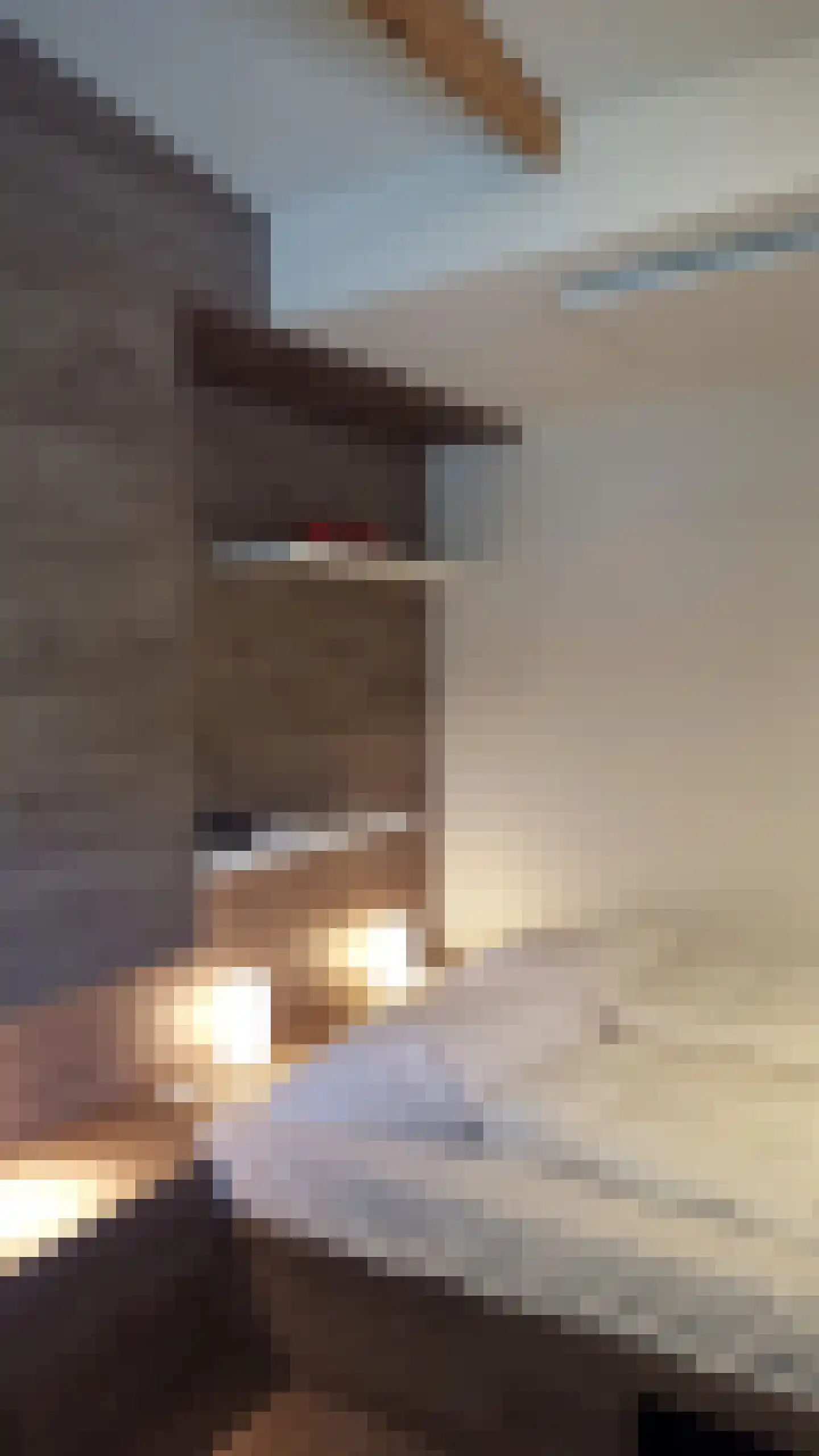 Belkmerweg 68 h68 Sint Maartensvlotbrug thumbnail 11
