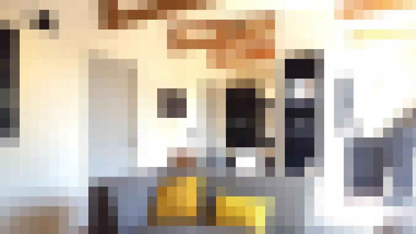 Belkmerweg 68 h68 Sint Maartensvlotbrug thumbnail 6