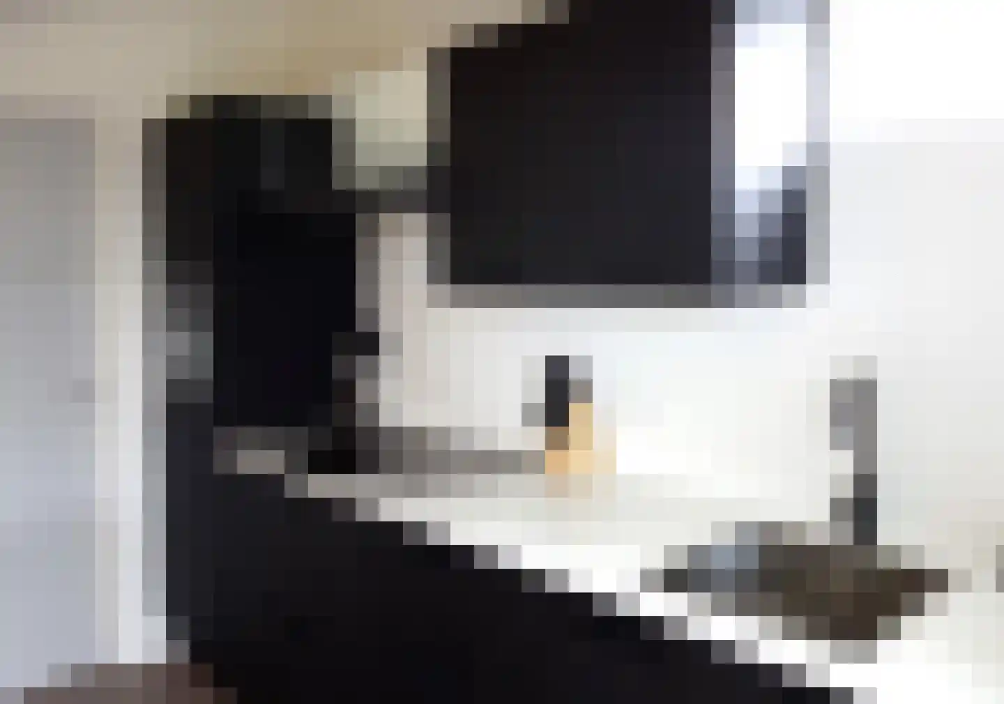 Belkmerweg 68 h68 Sint Maartensvlotbrug thumbnail 8