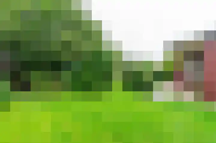 Belkmerweg 68 h89 Sint Maartensvlotbrug thumbnail 26