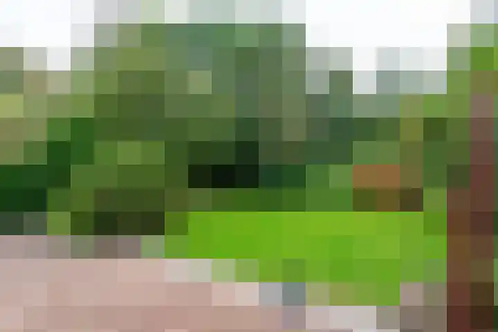 Belkmerweg 68 h89 Sint Maartensvlotbrug thumbnail 27