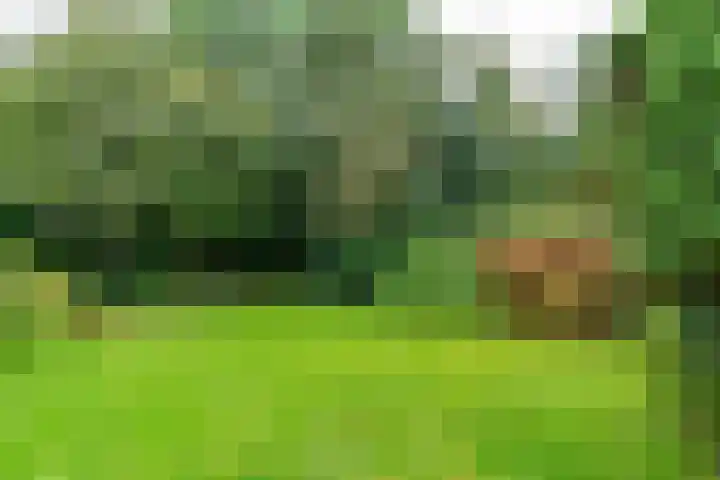 Belkmerweg 68 h89 Sint Maartensvlotbrug thumbnail 28