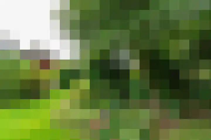 Belkmerweg 68 h89 Sint Maartensvlotbrug thumbnail 29