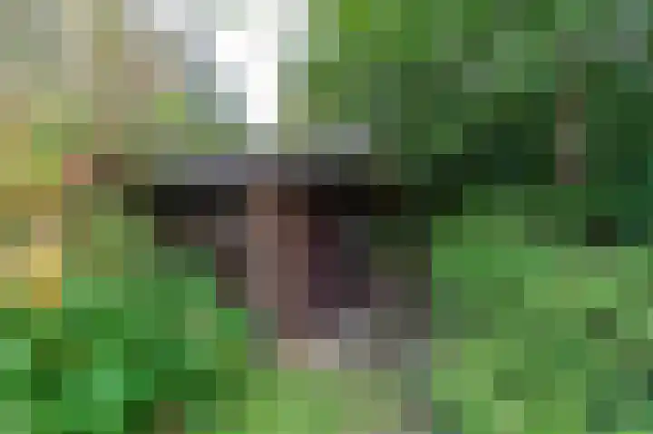 Belkmerweg 68 h89 Sint Maartensvlotbrug thumbnail 30