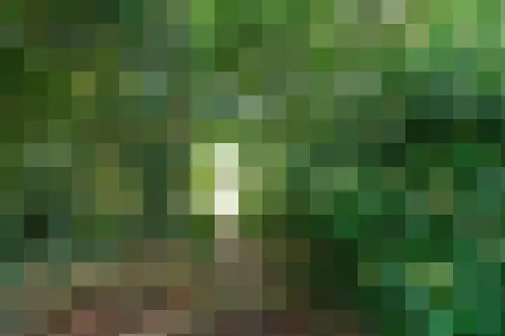Belkmerweg 68 h89 Sint Maartensvlotbrug thumbnail 31