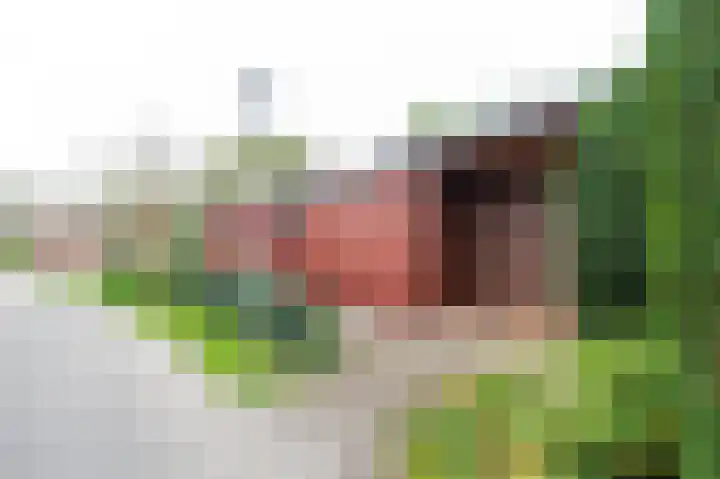 Belkmerweg 68 h89 Sint Maartensvlotbrug thumbnail 33