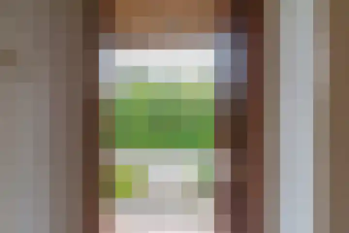 Belkmerweg 68 h89 Sint Maartensvlotbrug thumbnail 4