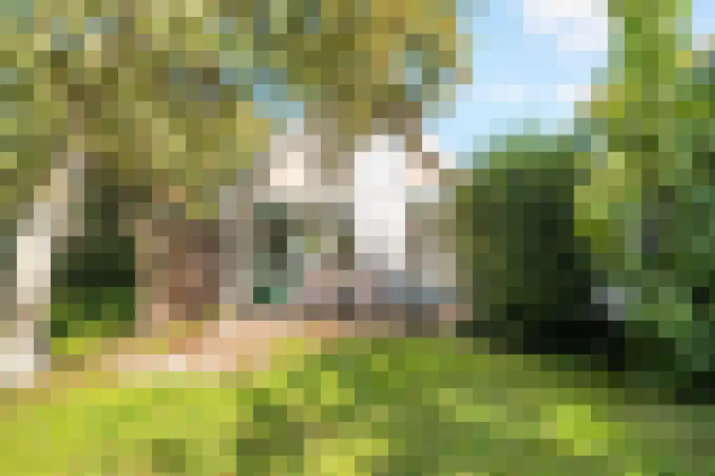 Belkmerweg 70 h28 Sint Maartensvlotbrug thumbnail 28
