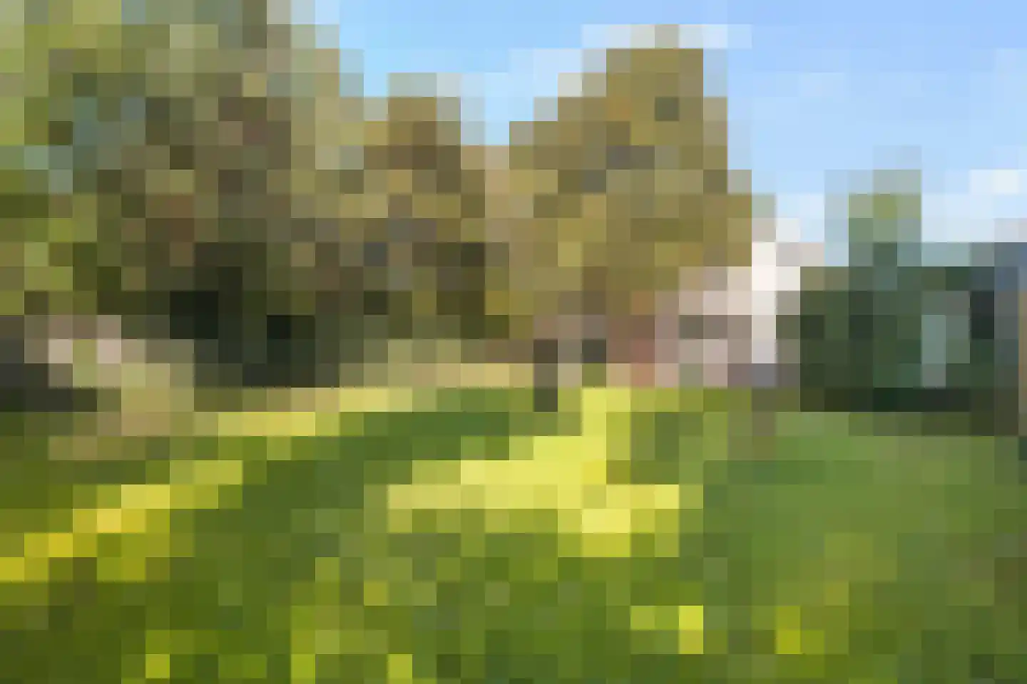 Belkmerweg 70 h28 Sint Maartensvlotbrug thumbnail 29