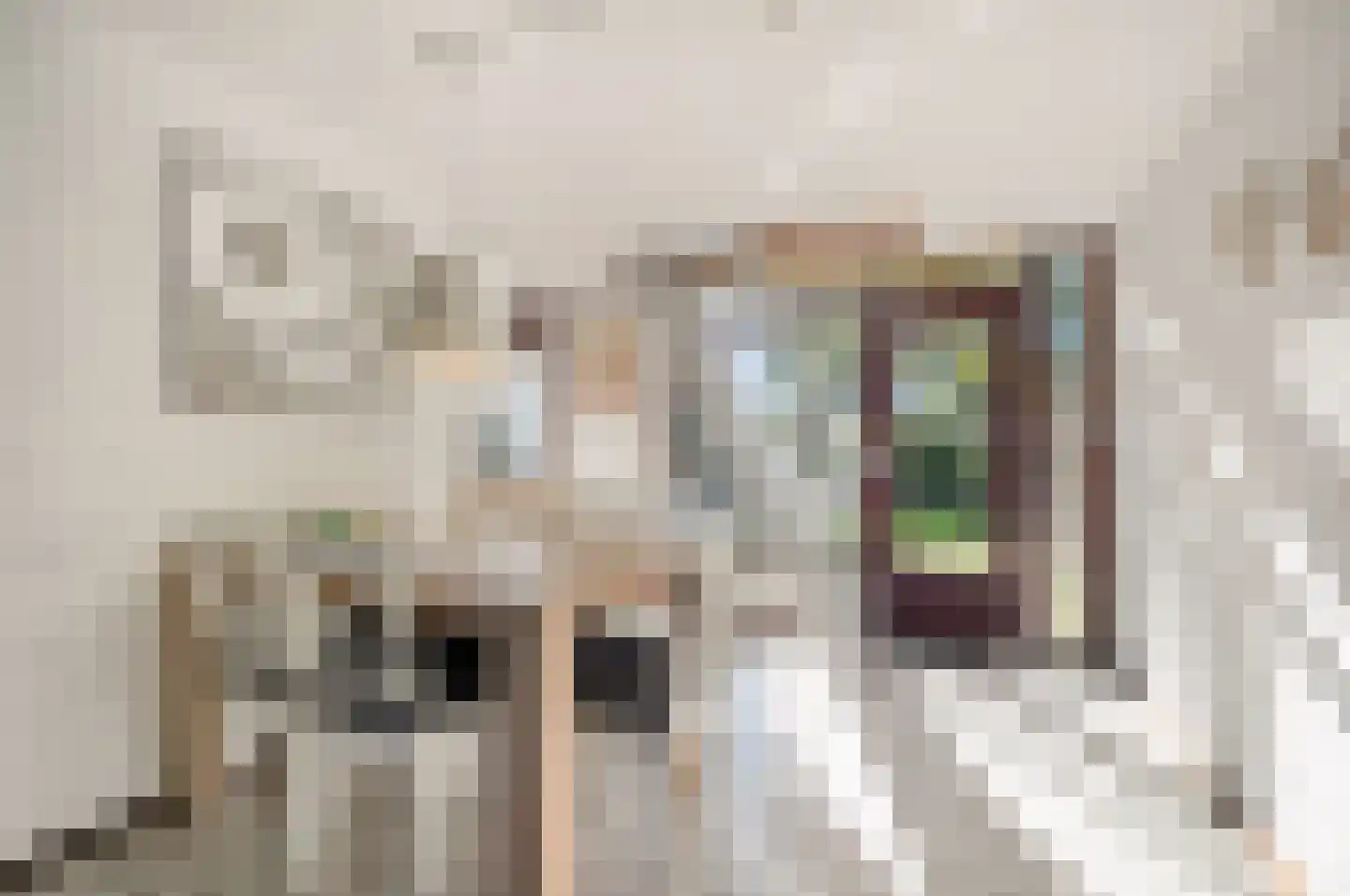Belkmerweg 70 h28 Sint Maartensvlotbrug thumbnail 7