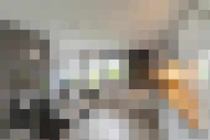 Belkmerweg 79 C h24 Sint Maartensvlotbrug thumbnail 11