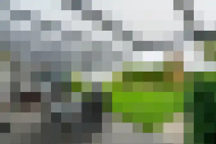 Belkmerweg 79 C h24 Sint Maartensvlotbrug thumbnail 21