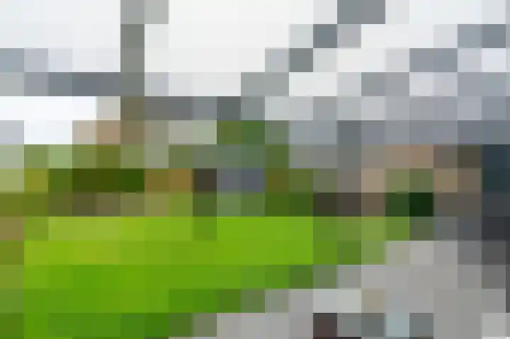 Belkmerweg 79 C h24 Sint Maartensvlotbrug thumbnail 22