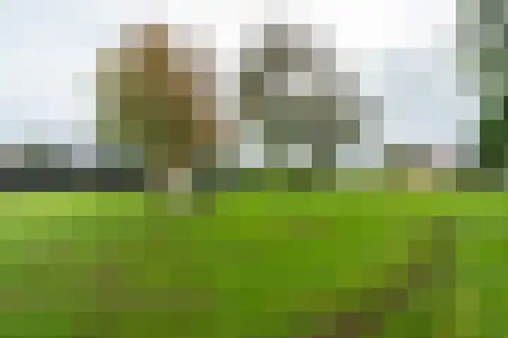 Belkmerweg 79 C h24 Sint Maartensvlotbrug thumbnail 27