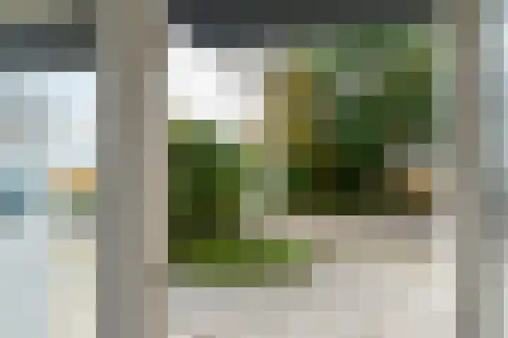 Belkmerweg 79 C h24 Sint Maartensvlotbrug thumbnail 4