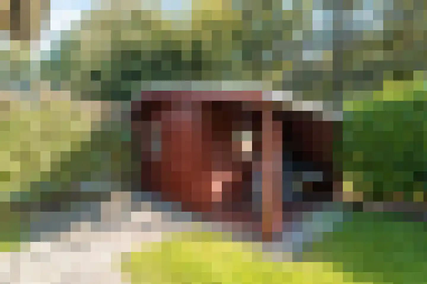 Belkmerweg 83 h58 Sint Maartensvlotbrug thumbnail 27
