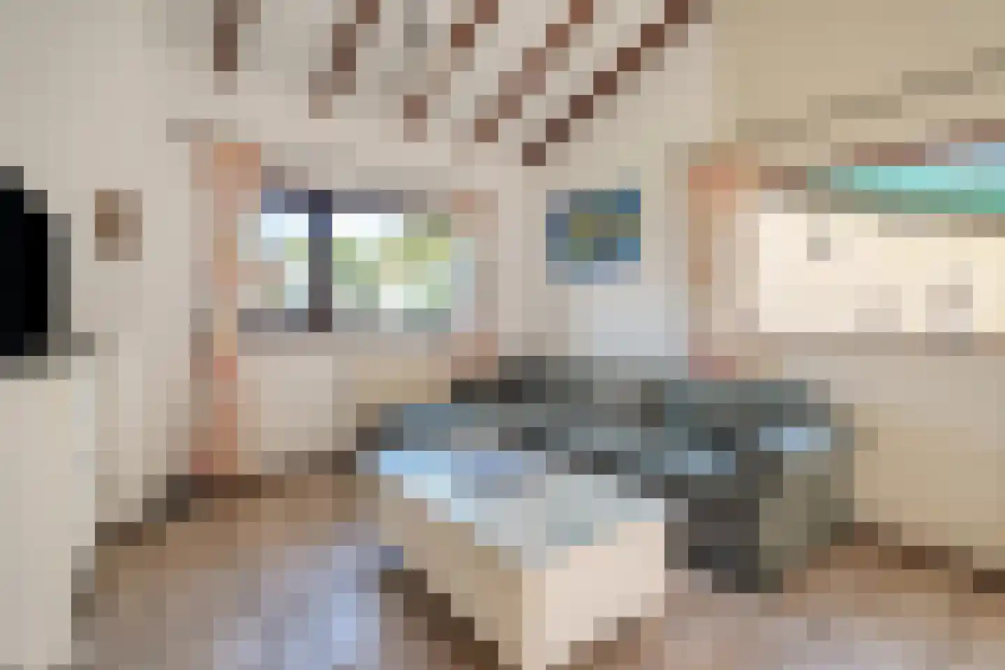 Belkmerweg 83 h58 Sint Maartensvlotbrug thumbnail 5