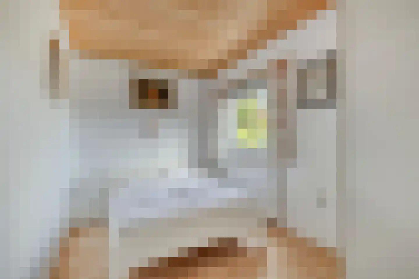 Belkmerweg 83 h7 Sint Maartensvlotbrug thumbnail 19