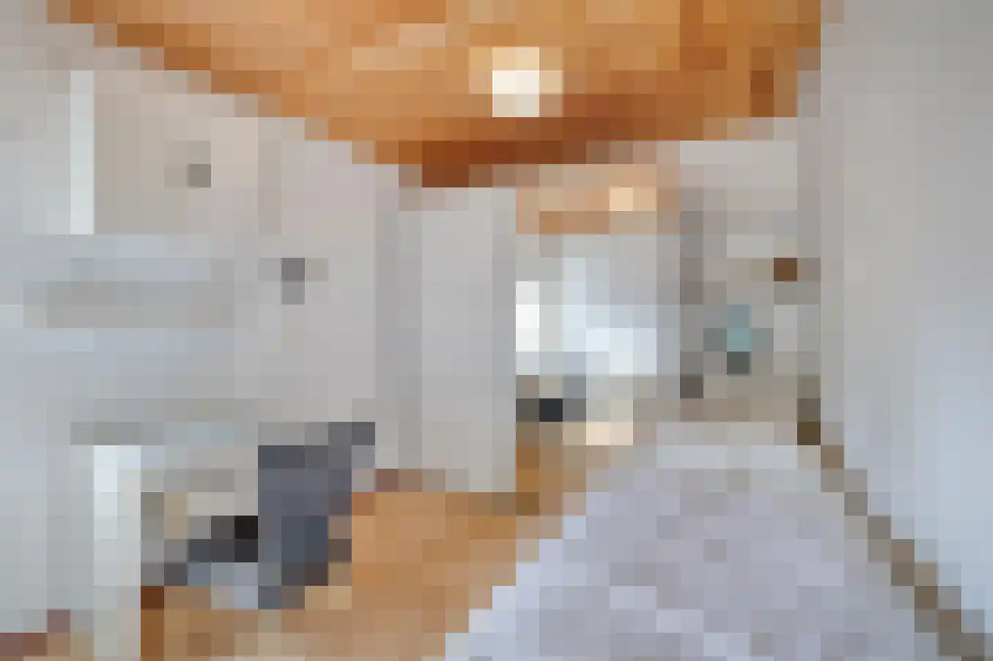 Belkmerweg 83 h7 Sint Maartensvlotbrug thumbnail 24