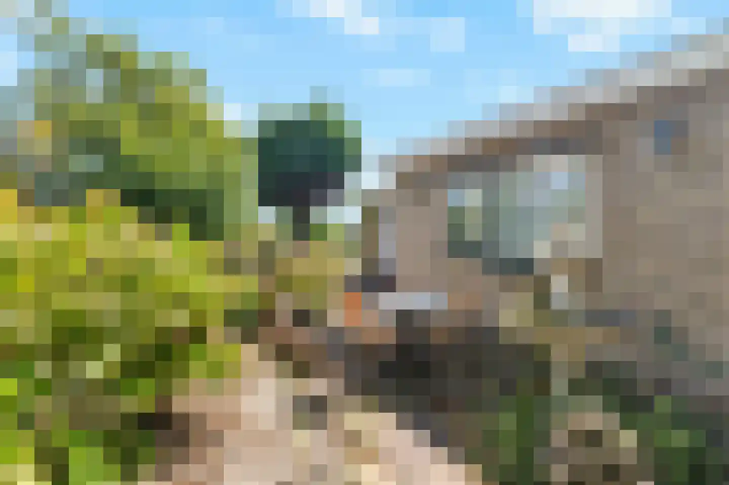 Belkmerweg 83 h7 Sint Maartensvlotbrug thumbnail 29