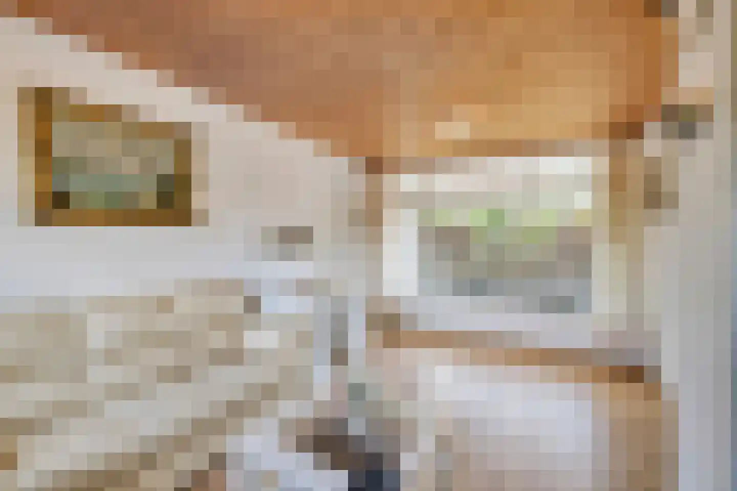 Belkmerweg 83 h7 Sint Maartensvlotbrug thumbnail 6