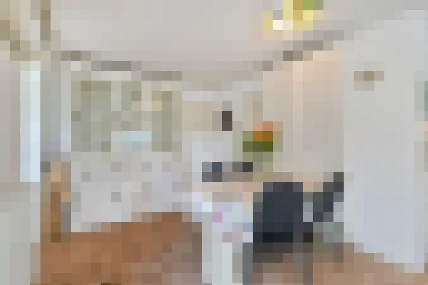 Belkmerweg 83 h7 Sint Maartensvlotbrug thumbnail 7