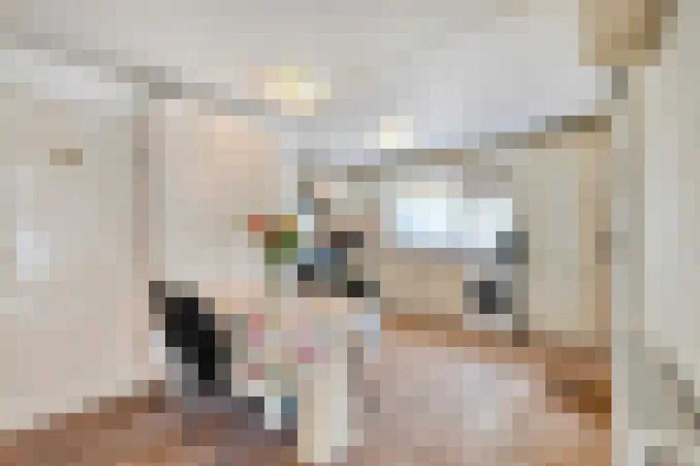 Belkmerweg 83 h7 Sint Maartensvlotbrug thumbnail 8