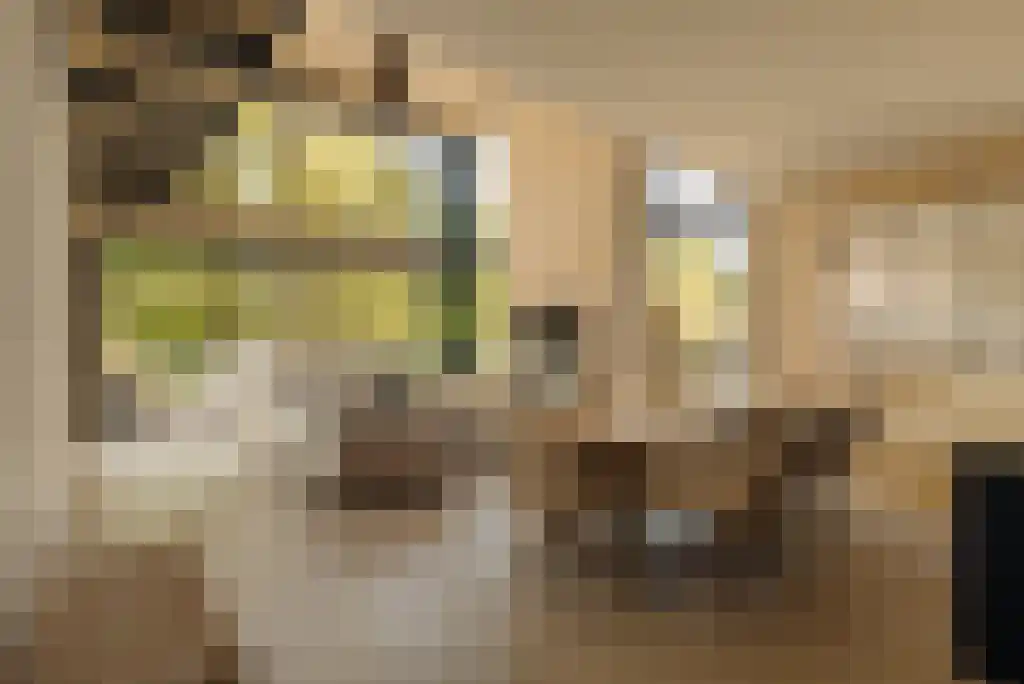 Bella Vistastraat 318 Amsterdam thumbnail 6