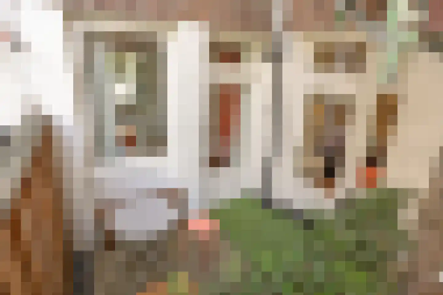Bellamydwarsstraat 12 H Amsterdam thumbnail 5