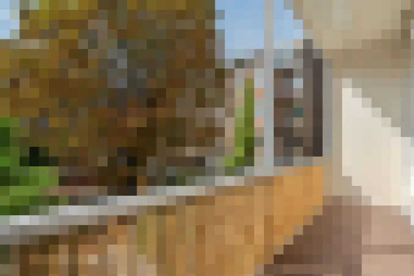 Bellamyplein 28 1 Amsterdam thumbnail 23