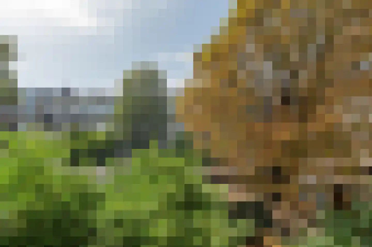 Bellamyplein 28 1 Amsterdam thumbnail 25