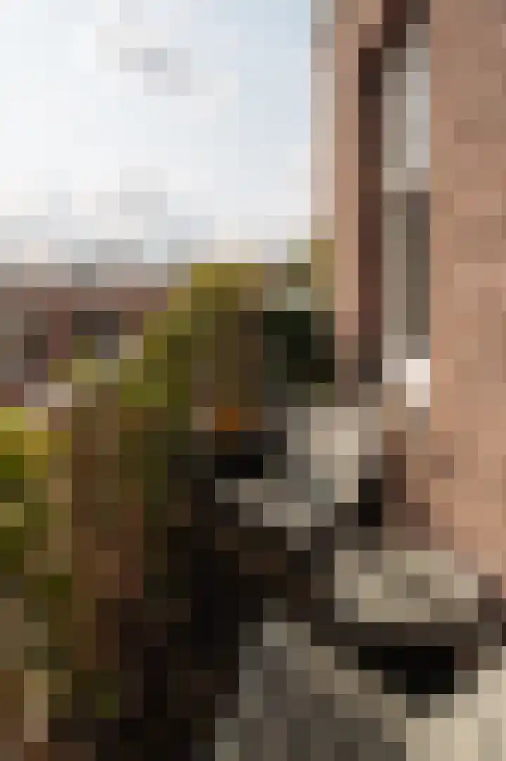 Bellamystraat 1 2 Amsterdam thumbnail 12