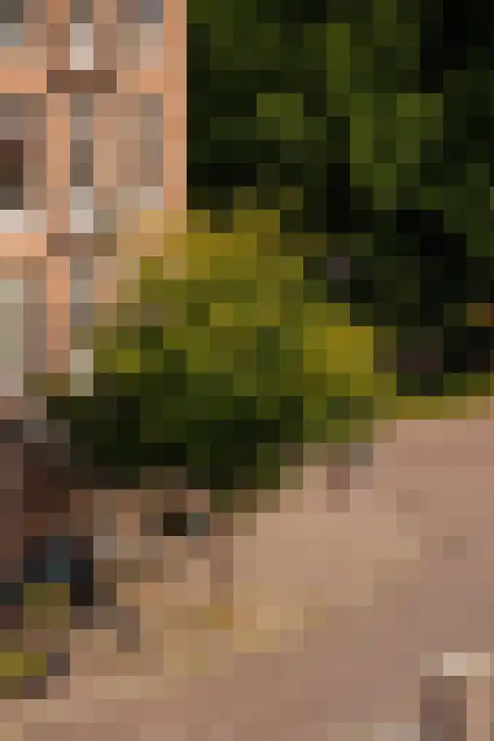 Bellamystraat 1 2 Amsterdam thumbnail 29