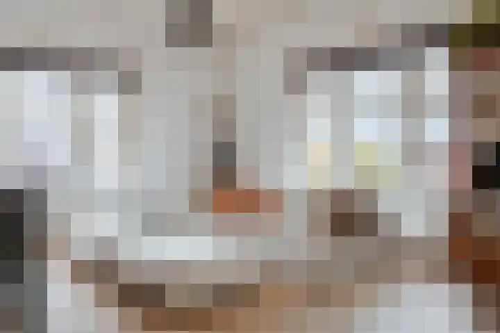 Bellamystraat 1 3 Amsterdam thumbnail 5