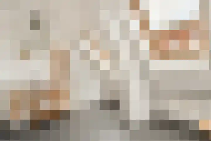 Bellamystraat 121 2 Amsterdam thumbnail 18