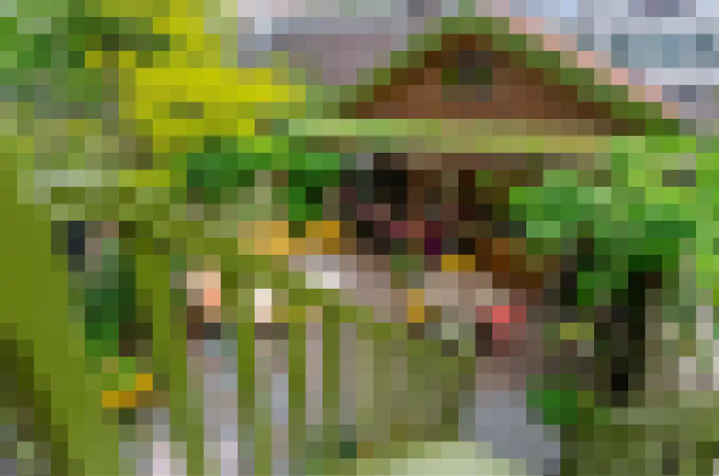Bellamystraat 13 Utrecht thumbnail 12
