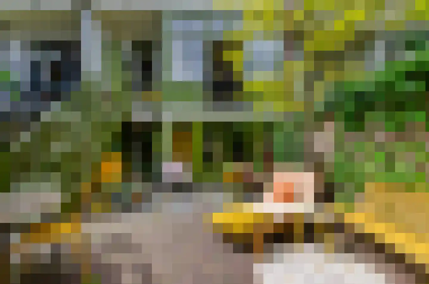 Bellamystraat 13 Utrecht thumbnail 13