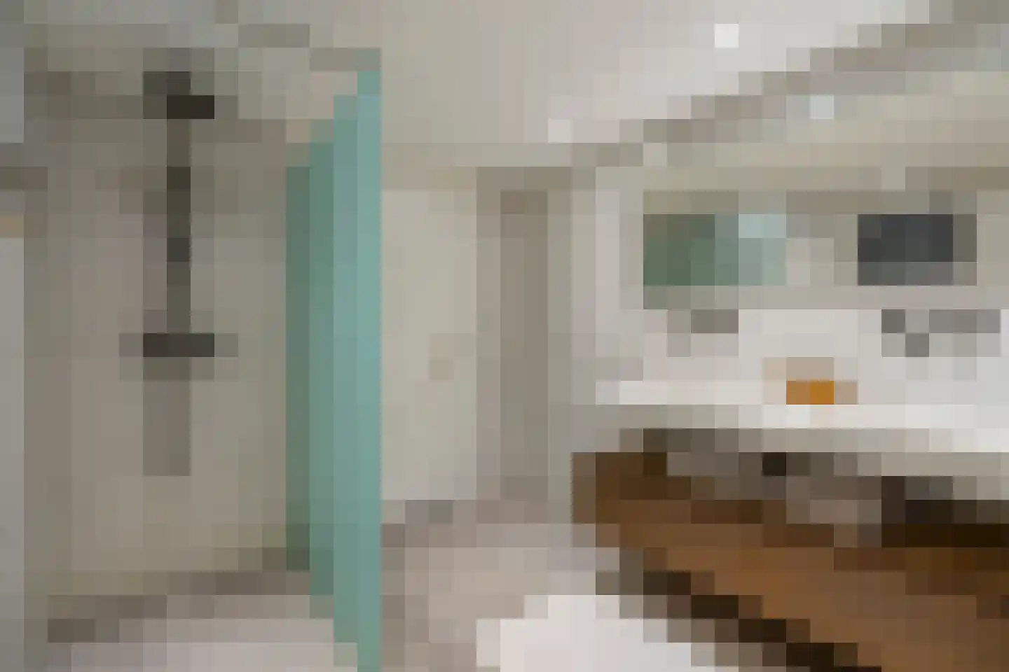 Bellamystraat 14 Utrecht thumbnail 44