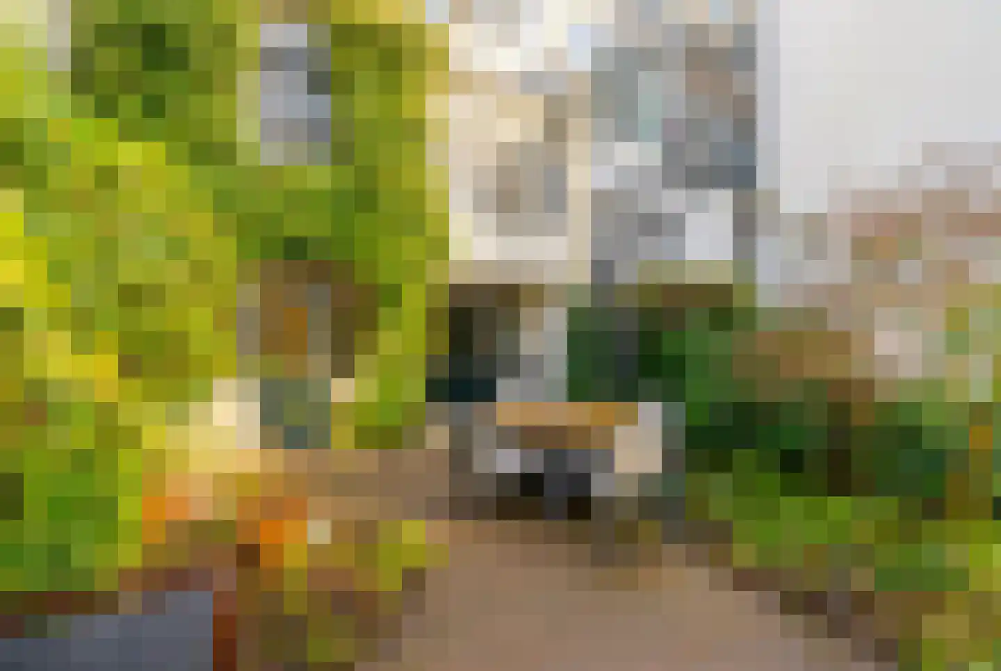 Bellamystraat 14 Utrecht thumbnail 50