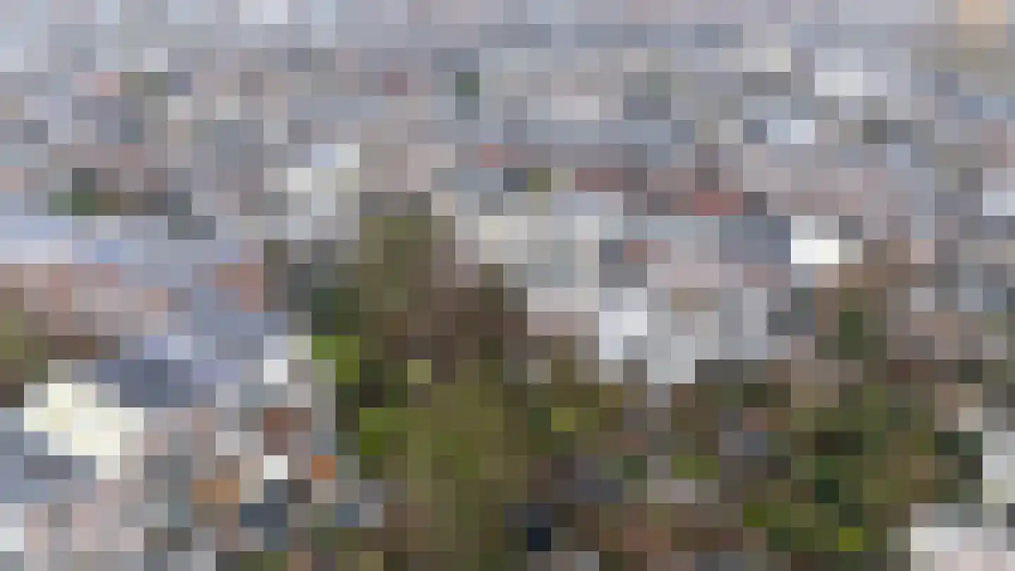 Bellamystraat 14 Utrecht thumbnail 61
