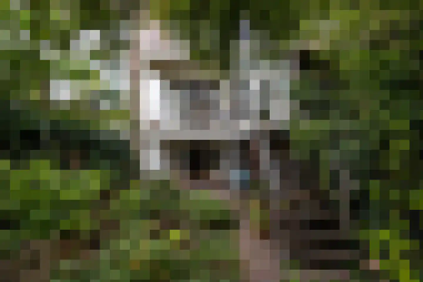 Bellamystraat 15 Utrecht thumbnail 15