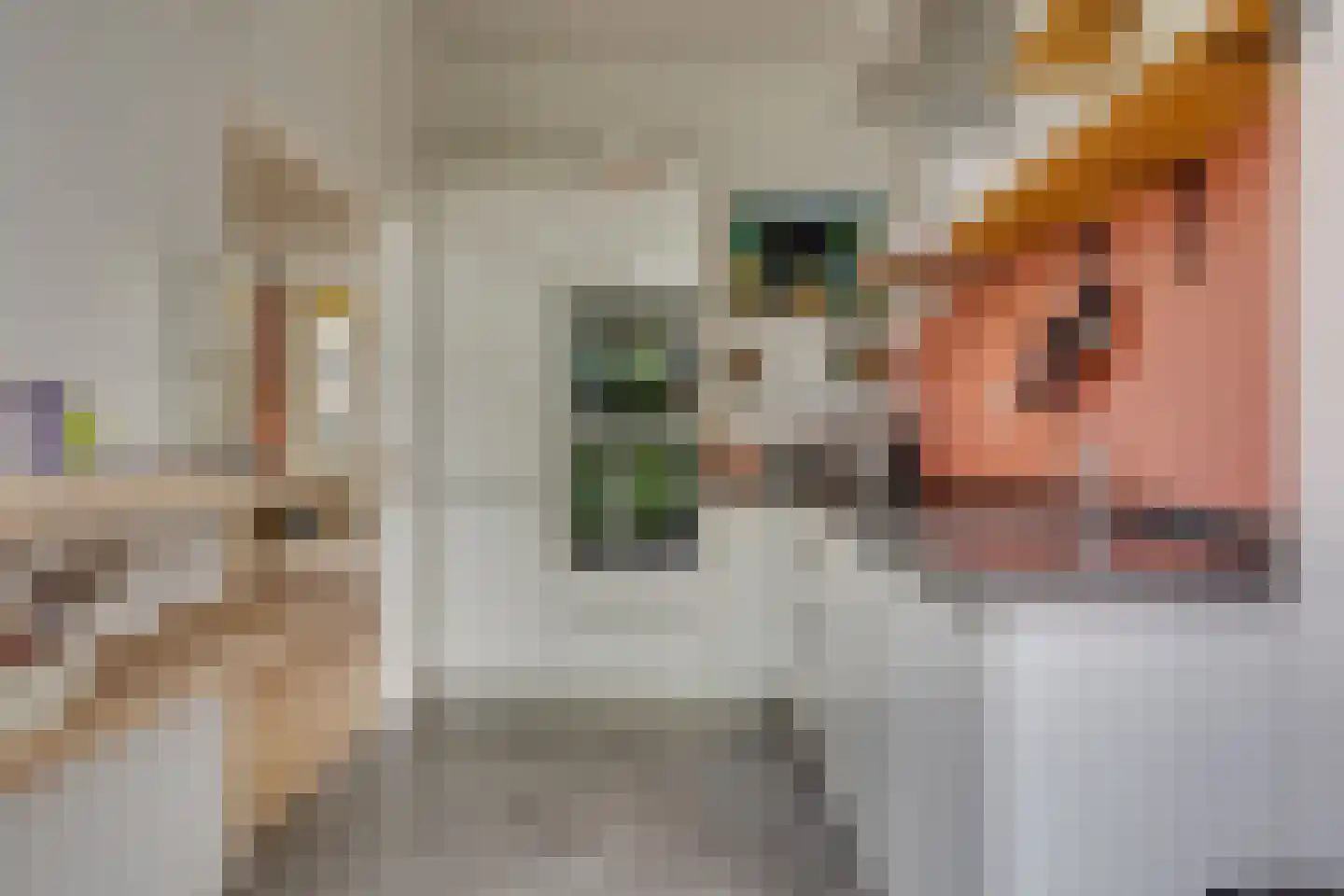 Bellamystraat 15 Utrecht thumbnail 20