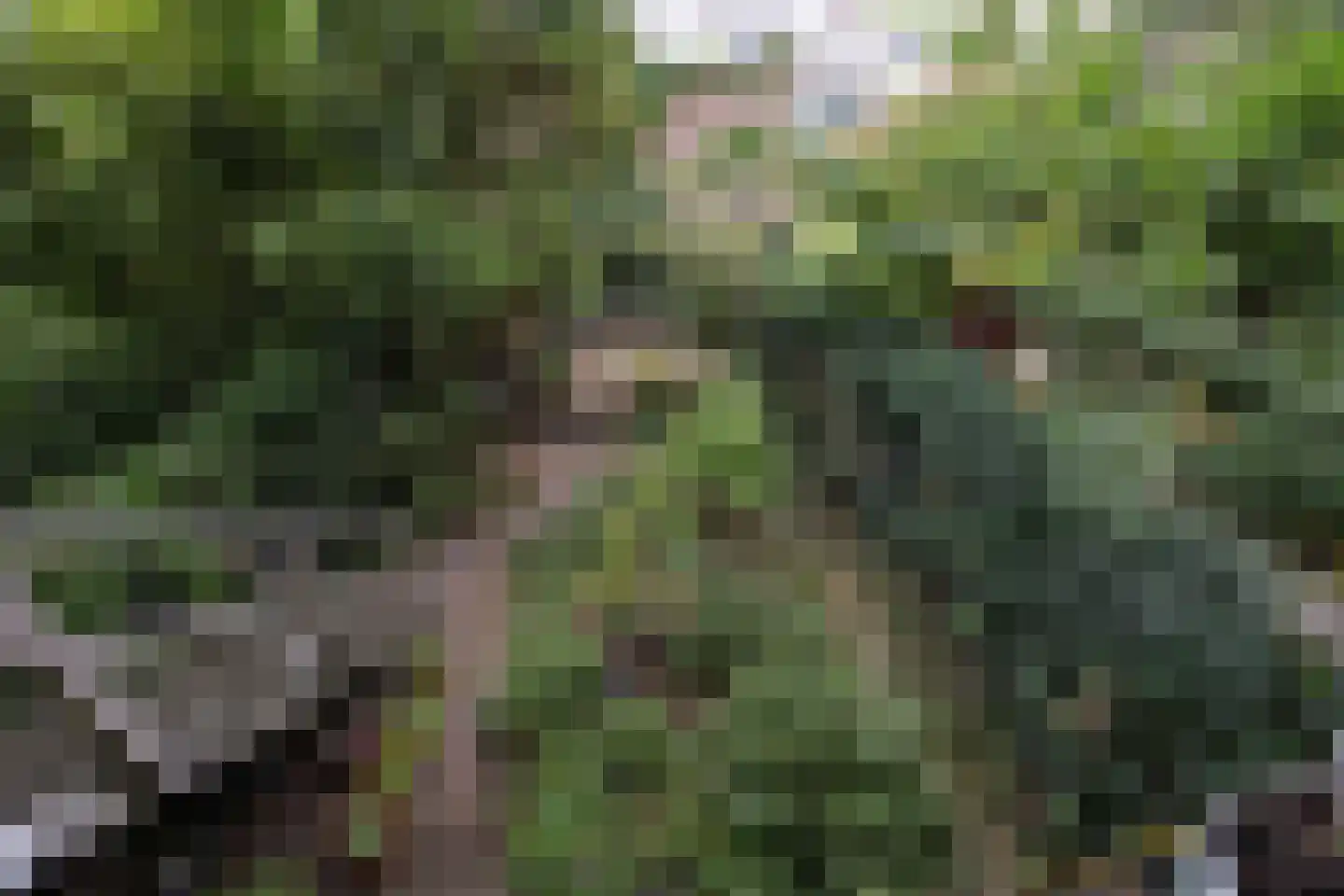 Bellamystraat 15 Utrecht thumbnail 33