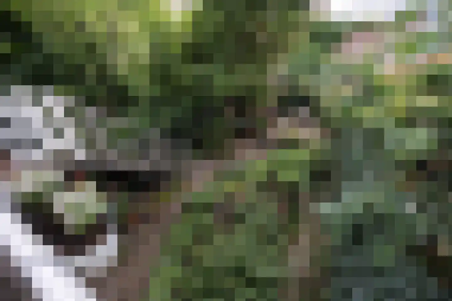 Bellamystraat 15 Utrecht thumbnail 34