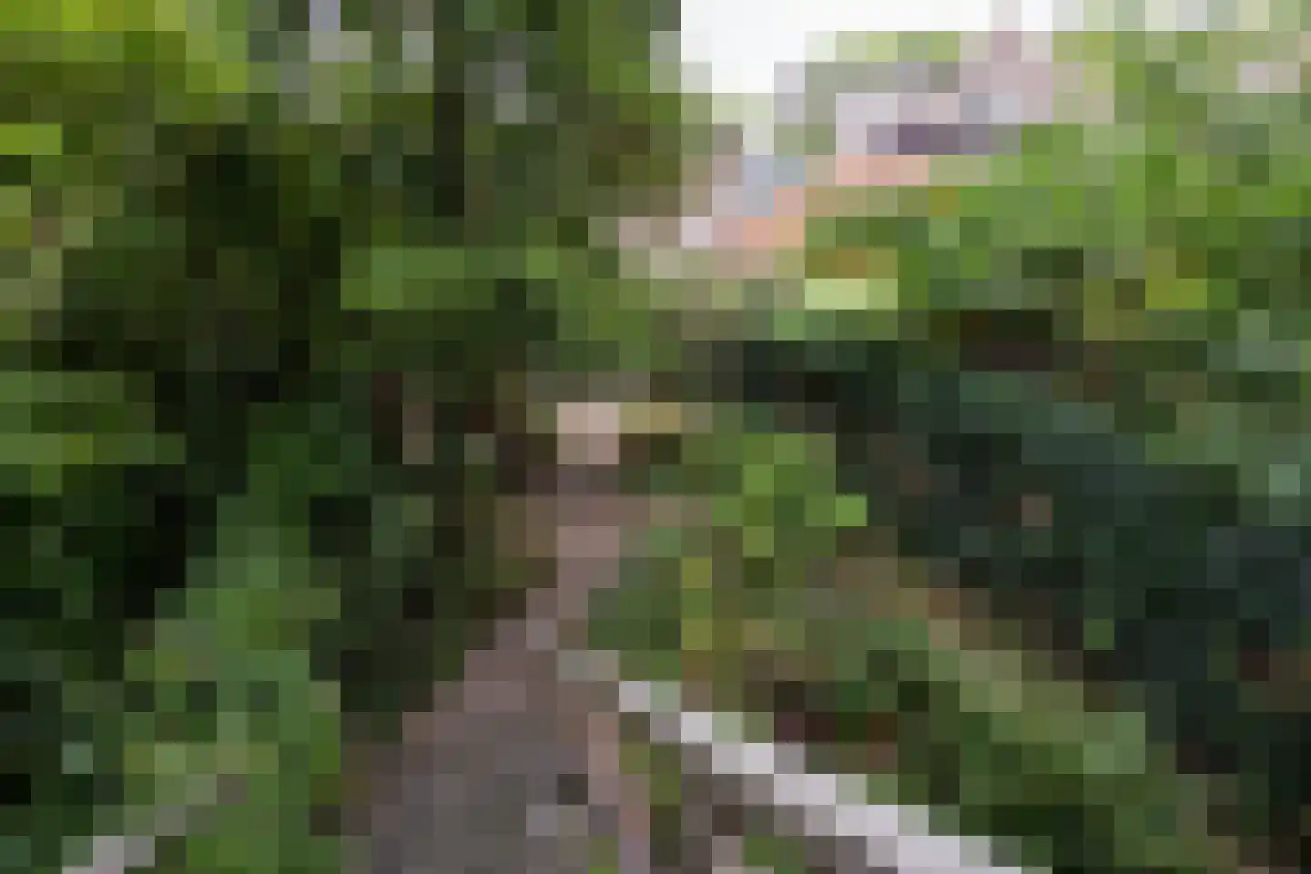 Bellamystraat 15 Utrecht thumbnail 35