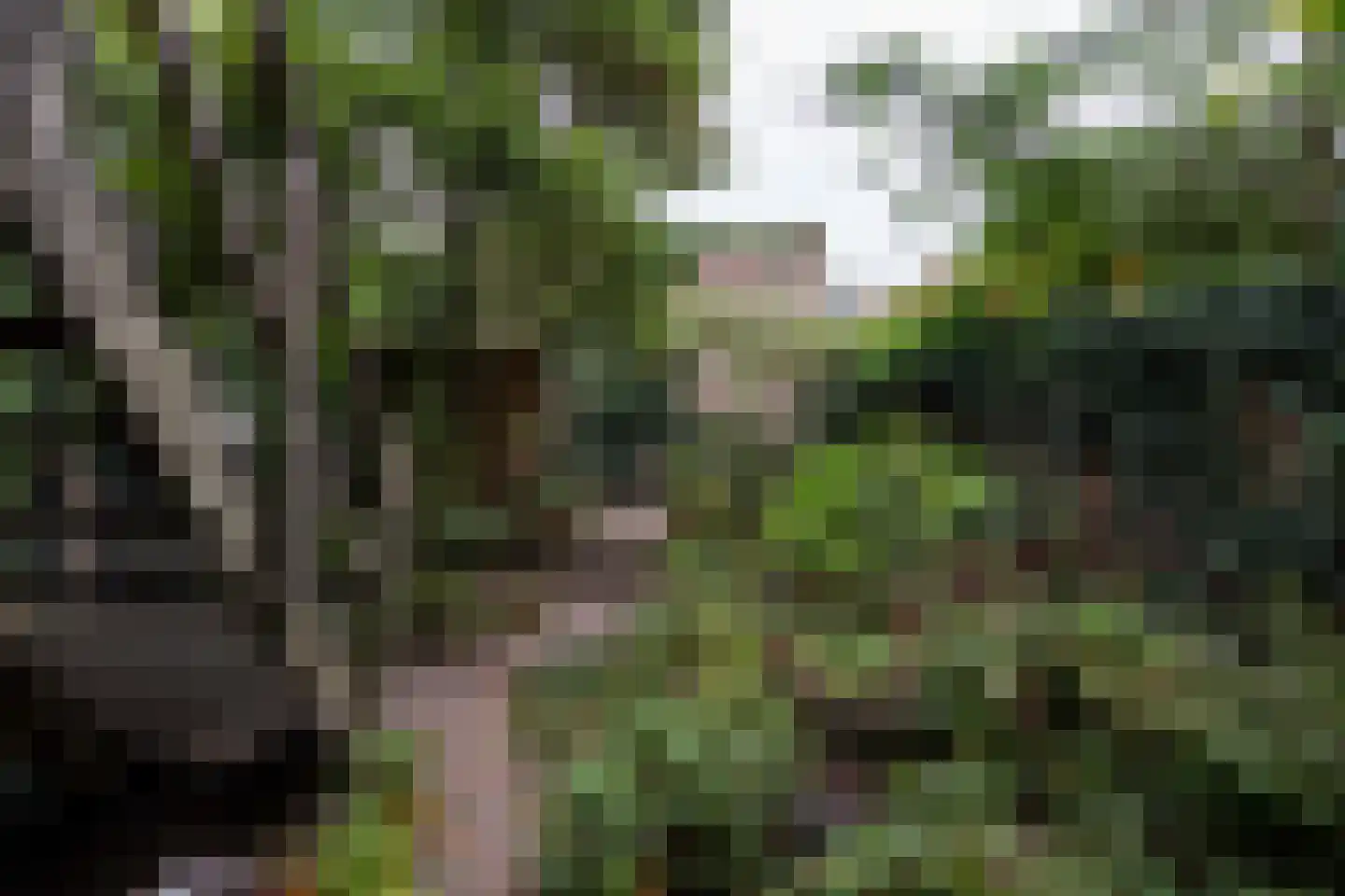 Bellamystraat 15 Utrecht thumbnail 36