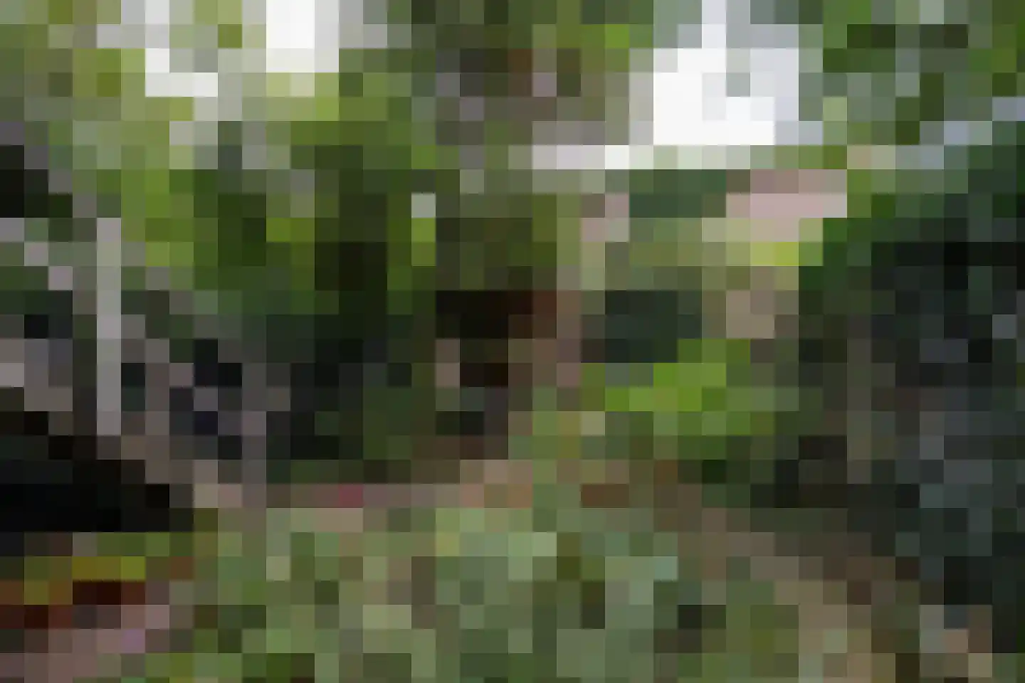 Bellamystraat 15 Utrecht thumbnail 37